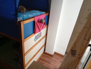 Cama litera kura madera y azul