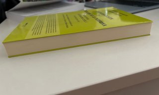 Principios de Derecho Civil. Tomo I. Introducci...