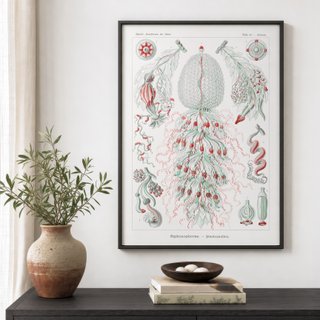 PACK MAR INDIGO 50X70 HAECKEL LAMINAS VINTAGE