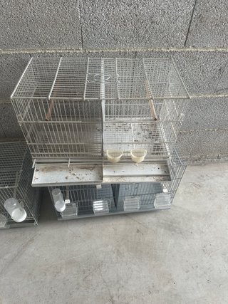 Jaula para pájaros plateada se vende por separado