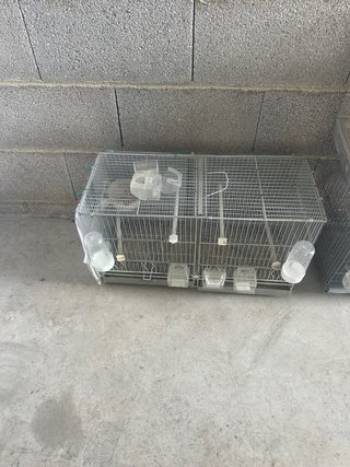 Jaula para pájaros plateada se vende por separado