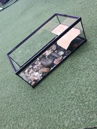 Terrario para tortugas