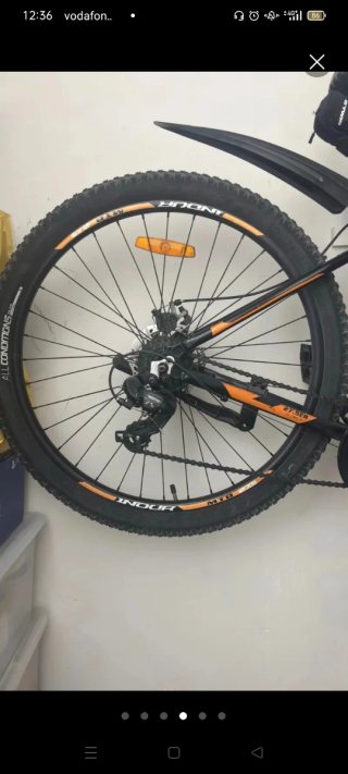 Bicicleta INDUR