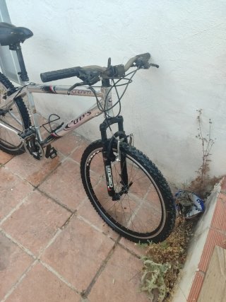 Bicicleta de montaña plateada