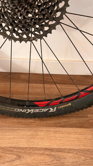 Rueda trasera 29” 12-148