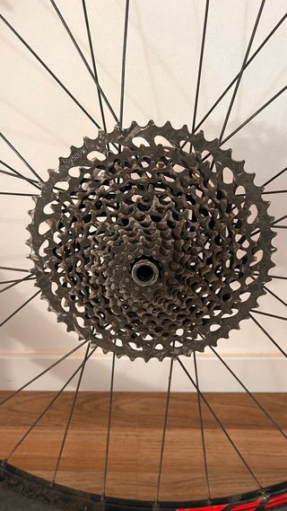 Rueda trasera 29” 12-148