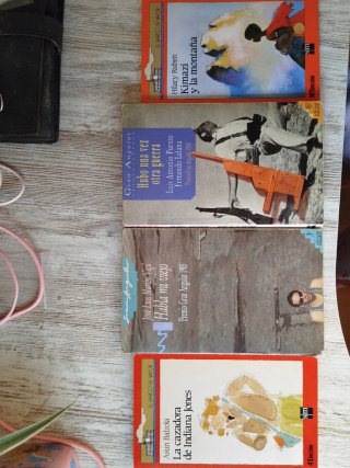 Lote 4 libros de la editorial SM.