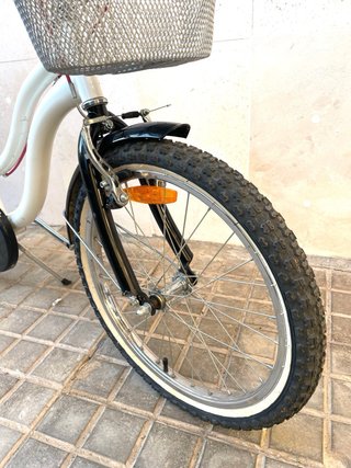 Bicicleta niña paseo 20 pulgadas