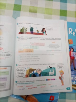 SM Revuela 3° Primaria Lengua