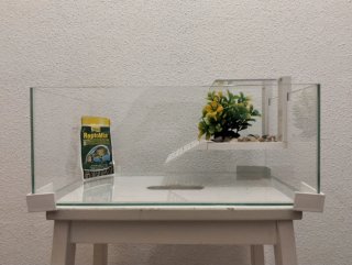 Tortuguera Ciano Tartarium 40 - Poco uso