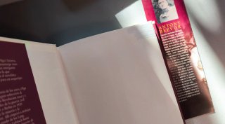 El misterio de Olga Chejova