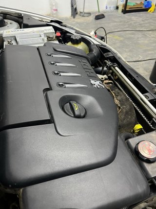 Lavado de motor