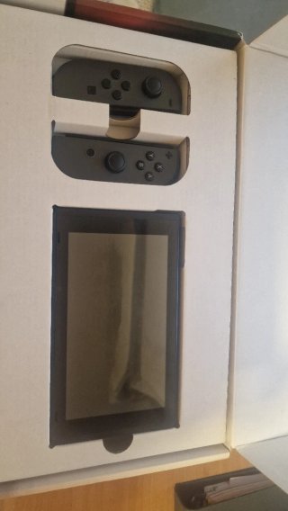 Nintendo Switch Gris y Negro