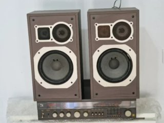 Equipo HiFi Schneider TEAM 300 R + Altavoces Vinta