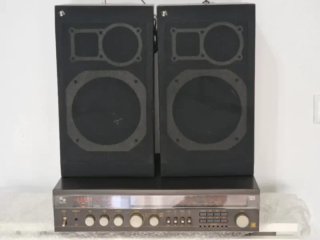 Equipo HiFi Schneider TEAM 300 R + Altavoces Vinta