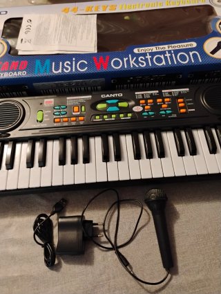 Órgano Electrónico Canto HL-3779FM