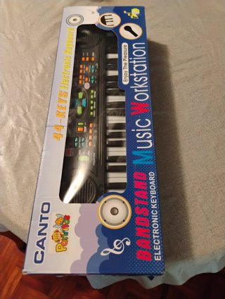 Órgano Electrónico Canto HL-3779FM
