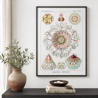 PACK BLOSSOM 50X70 HAECKEL LAMINAS VINTAGE