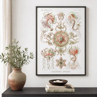 PACK BLOSSOM 50X70 HAECKEL LAMINAS VINTAGE