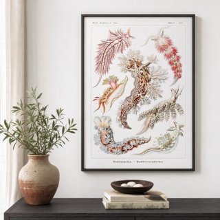 PACK BLOSSOM 50X70 HAECKEL LAMINAS VINTAGE