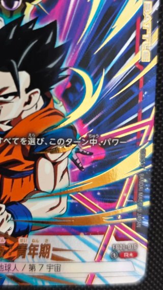 Son Gohan: Adolescence FB01-016