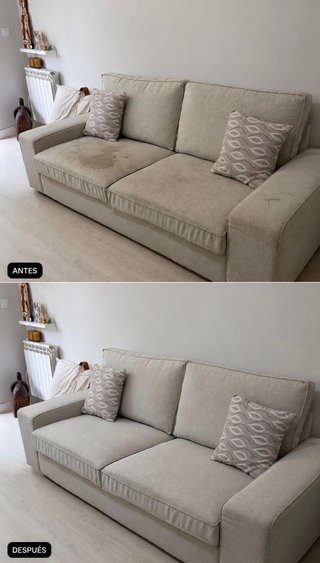 Limpieza profesional sofa