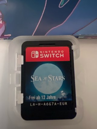 Sea of Stars Nintendo Switch