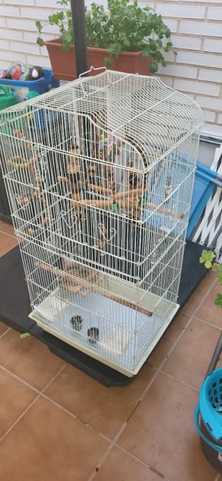 Jaula grande para pájaros blanca