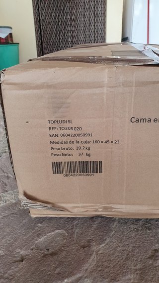 Cama elástica 305cm con red y escalera.