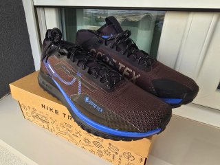 Nike React Pegasus Trail 4 GORE-TEX Talla 46