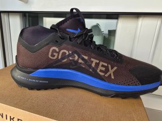 Nike React Pegasus Trail 4 GORE-TEX Talla 46