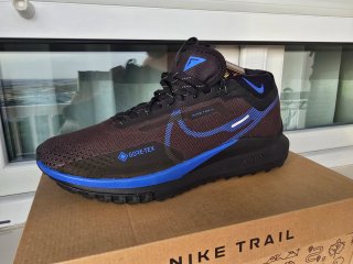 Nike React Pegasus Trail 4 GORE-TEX Talla 46