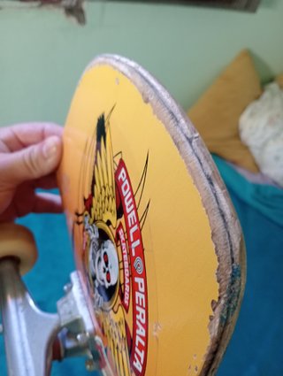 Skate Completo Powell Peralta Andy Anderson