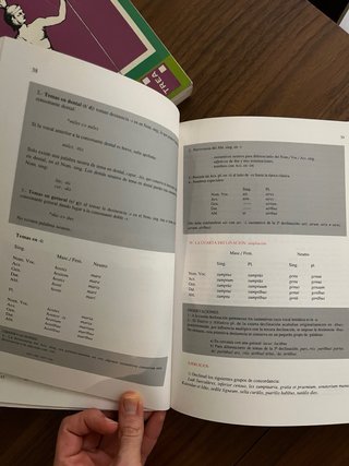 PAULATIUM 2 (GRAMATICA) - Libro de latín