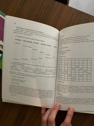 PAULATIUM 2 (GRAMATICA) - Libro de latín