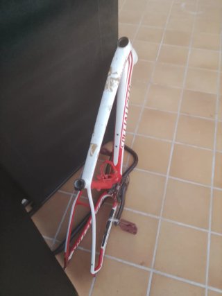 Cuadro Specialized Carbono