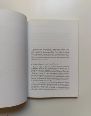 Burgos en la Guerra de Independencia.