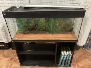 Acuario 100x40x46 con mueble 100x40x64