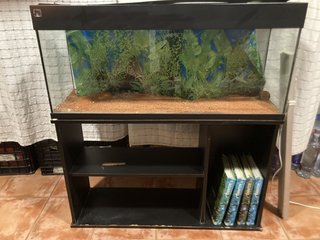 Acuario 100x40x46 con mueble 100x40x64