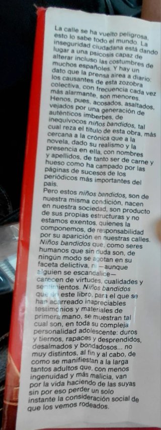 Los niños bandidos, novela