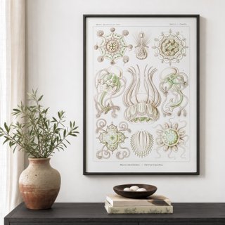 PACK VERDE SALVIA 50X70 HAECKEL LAMINAS VINTAGE