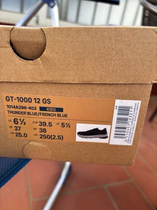 Asics GT-1000 12 GS Zapatillas Azul/Gris