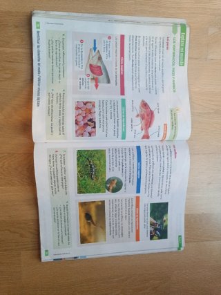 Ciencias de la Naturaleza, 4 Educación Primaria