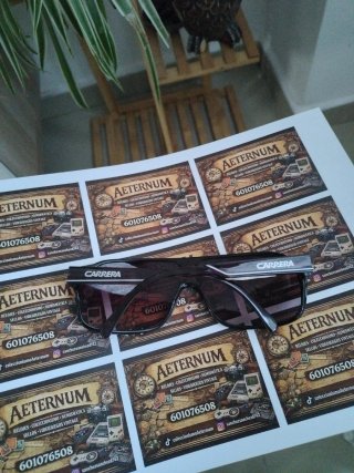 Gafas de sol Carrera Marrones