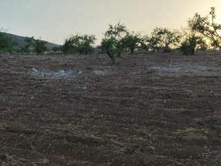 Terreno rústico en Villamena (Granada)