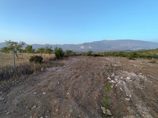 Terreno rústico en Villamena (Granada)