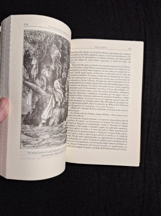 Jules Verne. Los hijos del Capitán Grant