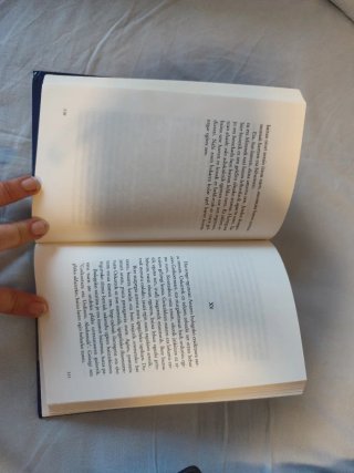 Ahaztuen mendekua