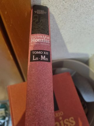 Houaiss dicionário