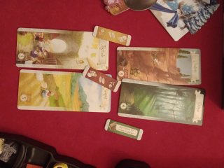 Grimm Forest Juego de Mesa con minis pintadas